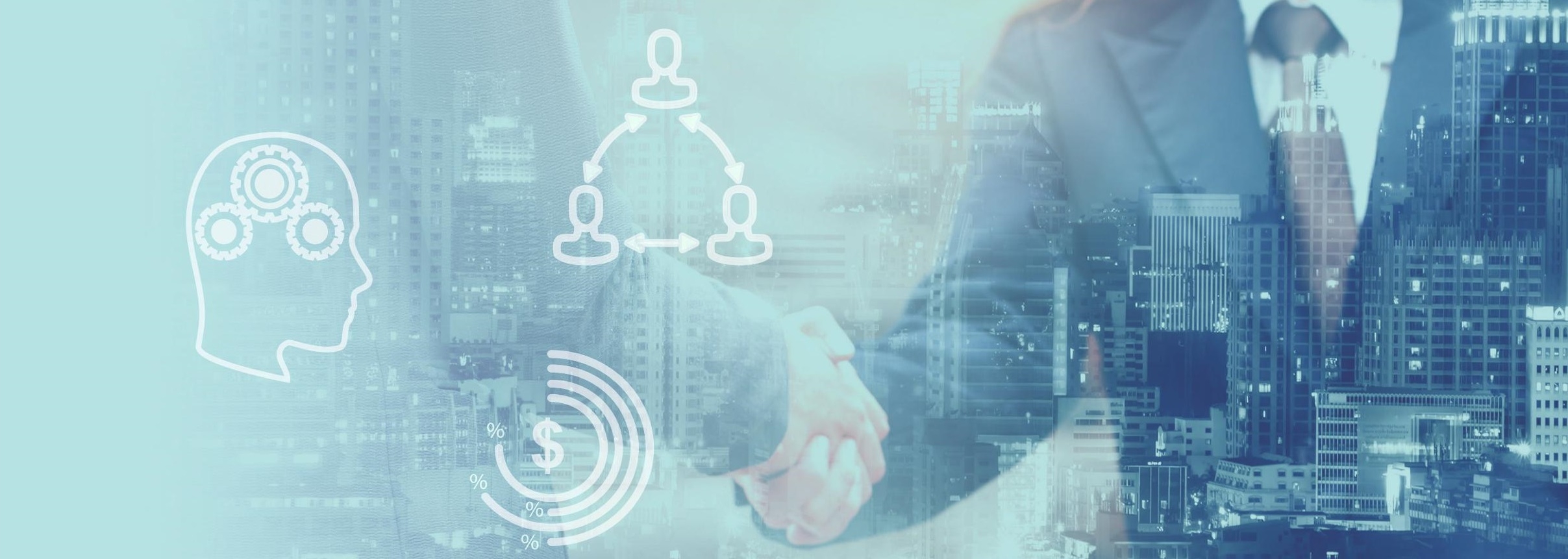 Project Expert in Finance