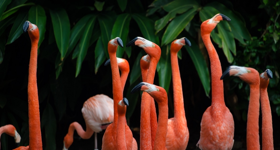 Kobiety, mężczyźni i ich szanse na sukces w biznesie