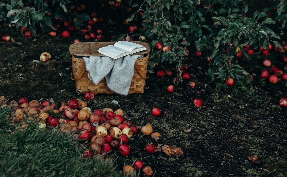 Koszyk zakazanych owoców, czyli o rekrutacji bez uprzedzeń
