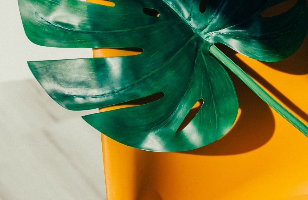 Audyt. Wywiad z Damianem Morawskim