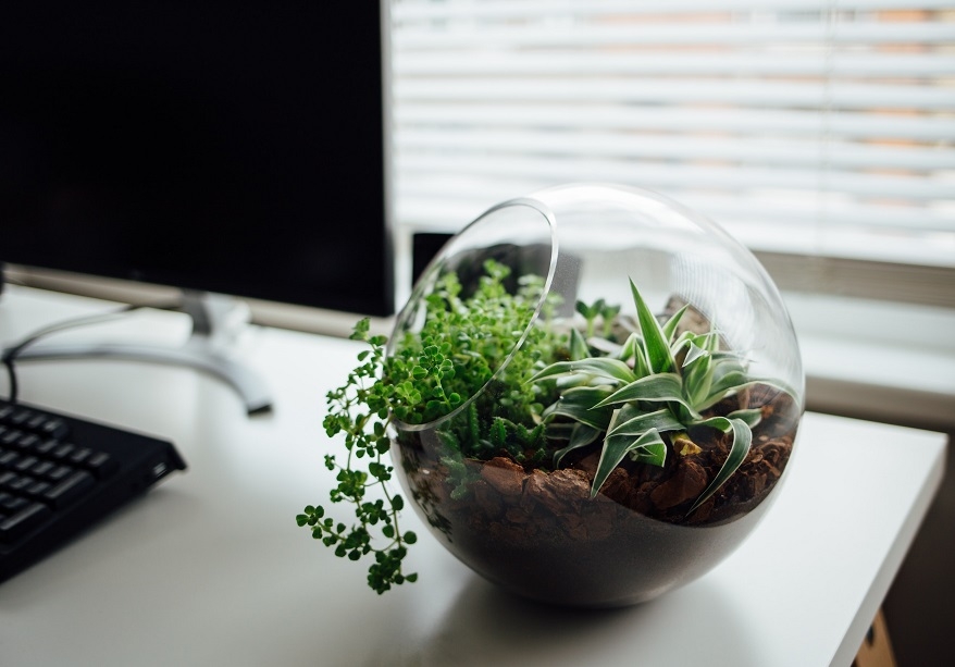 Asset & Fund Services