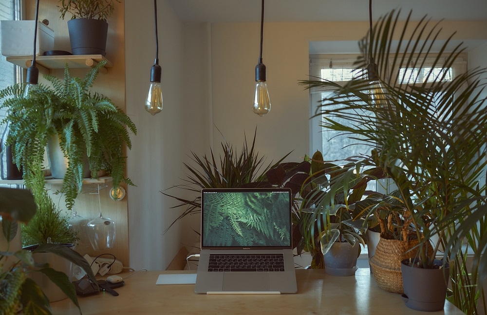 Biegły rewident. Wywiad z Wiolettą Matyją-Byrską