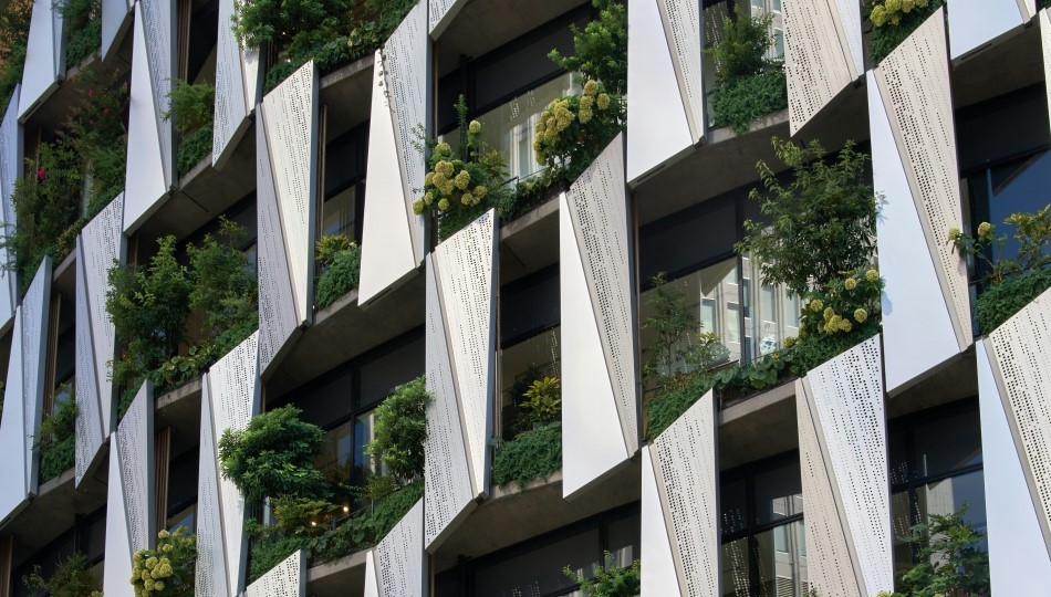 Trading Services w IG