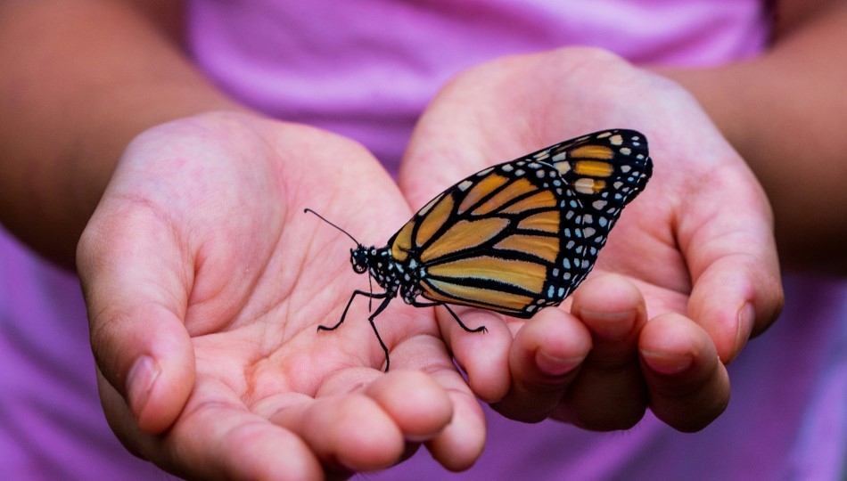 Wellbeing – w jaki sposób firmy dbają o pracowników?