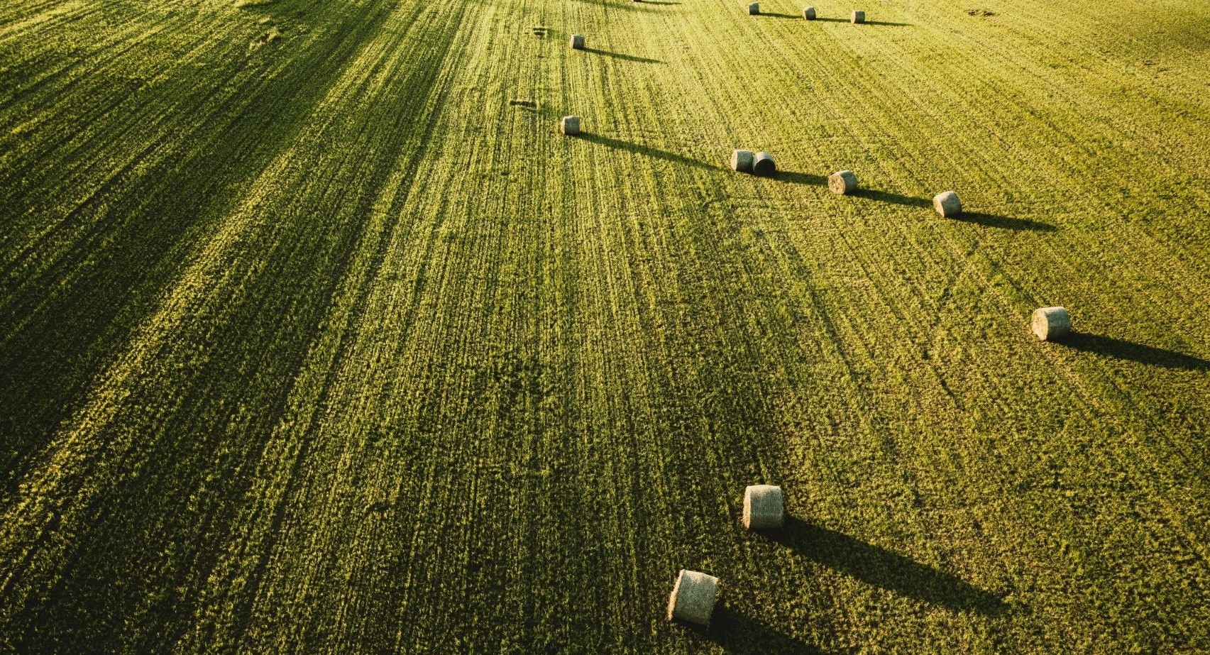Bankowość Sektora Agrobiznesu