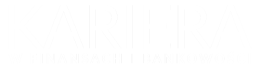 Logo Guidebook